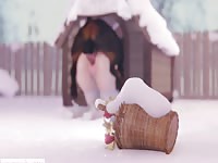 Sexy 3D girl got married to dog and have beastiality sex