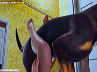 Creature Cumforts - S01E13