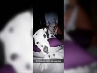 Wife Gets Cheated on by The Family Dog